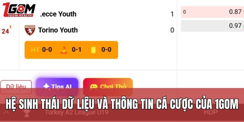 Hệ sinh thái dữ liệu và thông tin cá cược của 1Gom